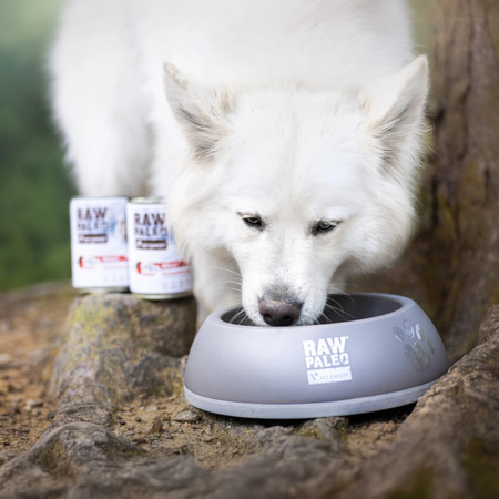 Vet Expert Raw Paleo Adult Monoprotein 24x400g Mokra Karma Dla Psa z Wołowiną