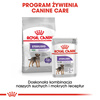 Royal Canin CCN Mini Sterilised 3kg Karma Sucha Dla Psów Dorosłych Ras Małych Sterylizowanych