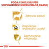 ROYAL CANIN Breed Health Nutrition ADULT YORKSHIRE TERRIER 3kg sucha karma dla yorka
