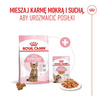 Royal Canin FHN Kitten Sterilised W Galaretce 24x85g Karma Mokra Dla Kociąt Sterylizowanych Do 12 Miesiąca Życia