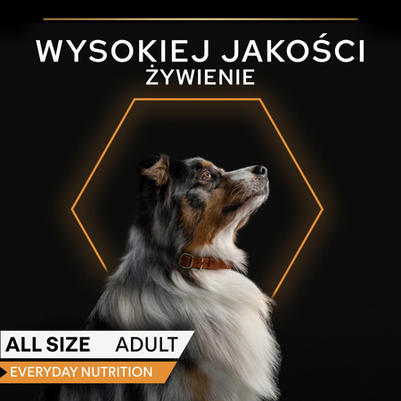 Purina Pro Plan Everyday Nutrition All Size Adult 12x400g Mokra Karma Dla Psa Bogata w Rybę w Galaretce