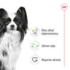 Royal Canin X-Small Adult 1,5kg Sucha Karma dla Psów Dorosłych Ras Miniaturowych do 4kg