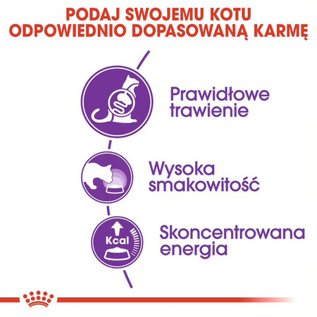 Royal Canin FHN Sensible 33 Adult 10kg Sucha Karma Dla Dorosłych Kotów Z Wrażliwym Układem Pokarmowym