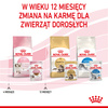 ROYAL CANIN Kitten Instinctive w sosie 85g karma mokra w sosie dla kociąt do 12 miesiąca życia