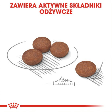 Royal Canin CCN Mini Digestive Care 1kg Karma Sucha Dla Psów Dorosłych Ras Małych O Wrażliwym Przewodzie Pokarmowym