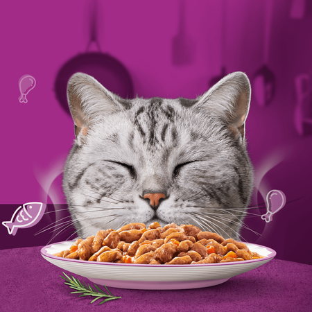 Whiskas Adult Aromatyczna Mieszanka Saszetki 120x85g Mokra Karma Pełnoporcjowa Dla Kota w Sosie