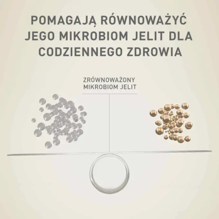 Purina ONE Mini Sensitive z Łososiem i Ryżem 6x800g Sucha Karma Dla Psów Małych Ras