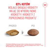 Royal Canin Ageing Sterilised 11+ Karma Sucha 2kg Dla Kotów Dojrzałych Po Sterylizacji Powyżej 11 Roku Życia
