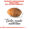 Royal Canin FBN Persian Adult 2kg Karma Sucha Dla Kotów Dorosłych Rasy Pers