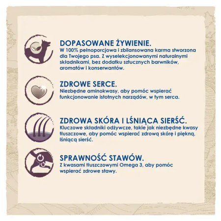 Purina Dog Chow Mature Senior 14kg Sucha Karma Dla Starszych Psów z Kurczakiem