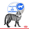 Royal Canin Indoor Sterilised W Sosie 12x85g Karma Mokra W Sosie Dla Kotów Sterylizowanych