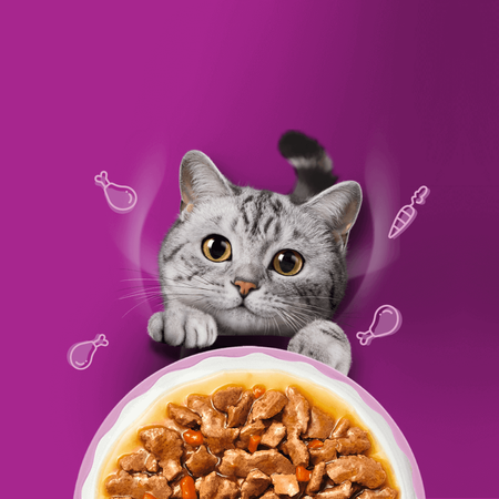 Whiskas Aromatic Adult 80x85g Mokra Karma Dla Kotów Aromatyczna Mieszanka W Sosie