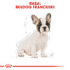 Royal Canin BHN French Bulldog Puppy 10kg Karma Sucha Dla Szczeniąt Do 12 Miesiąca Rasy Bulldog Francuski