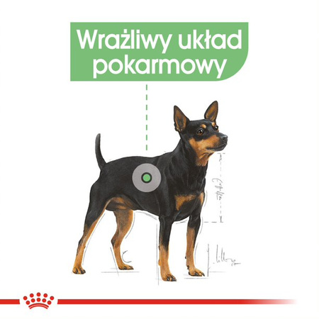 Royal Canin CCN Digestive Care 24x85g Karma Mokra Pasztet Dla Psów o Wrażliwym Przewodzie Pokarmowym