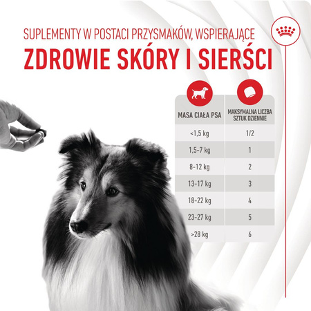 Royal Canin Supplements Dog Skin & Coat Adult 240g Przysmak Suplement dla Psa Na Skórę i Sierść