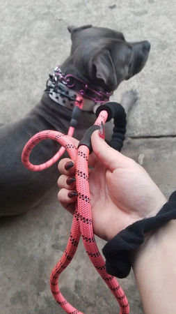 Mocna Smycz Dla Psa Dużego 3m Różowa Odblaskowa