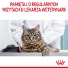 Royal Canin Hair & Skin 12x85g Mokra Karma Dla Kotów Dorosłych w Galaretce Zdrowa Skóra Piękna Sierść