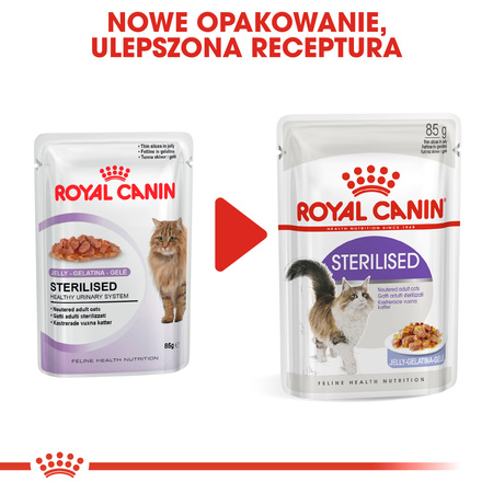 Royal Canin FHN Sterilised W Galaretce Mokra Karma Dla Kota 12x85g 