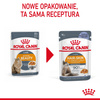 Royal Canin Hair & Skin 12x85g Mokra Karma Dla Kotów Dorosłych w Galaretce Zdrowa Skóra Piękna Sierść