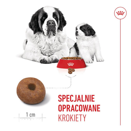 Royal Canin Giant Starter Mother & Babydog 15kg Karma Sucha Dla Suk W Czasie Ciąży Laktacji I Szczeniąt Ras Olbrzymich
