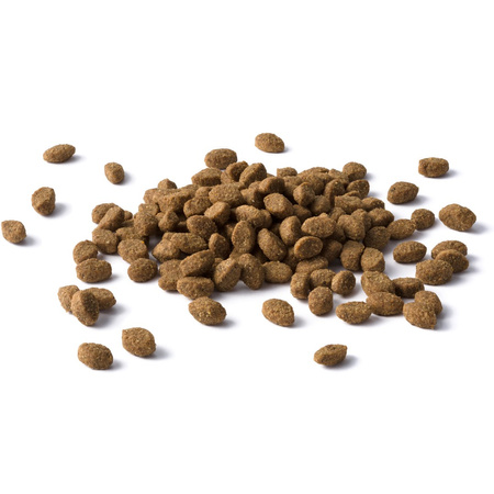 Purina Cat Chow 3in1 Adult 15kg Sucha Karma Dla Kota Z Indykiem