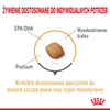 Royal Canin BHN Pomeranian Adult 1,5kg Karma Sucha Dla Psów Dorosłych Rasy Szpic Miniaturowy
