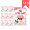 Royal Canin FHN Kitten Instinctive 10x85g Karma Mokra W Sosie Dla Kociąt Do 12 Miesiąca Życia 5+5 GRATIS