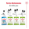 Royal Canin Adult 8+ X-Small 1,5kg Sucha Karma Dla Psów Dojrzałych Powyżej 8 Roku Życia Ras Miniaturowych Do 4kg