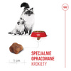 Royal Canin Mother&Babycat 4kg Karma Sucha Dla Kotek W Okresie Ciąży Laktacji i Kociąt Od 1 Do 4 Miesiąca Życia