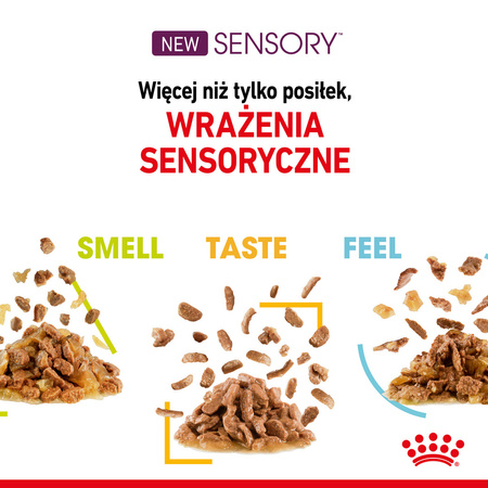 ROYAL CANIN Sensory Mix Smell Taste Feel w Sosie Zestaw 24x85g Mokra Karma Dla Kotów Wybrednych