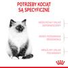Royal Canin Fhn Kitten 4kg Karma Sucha Dla Kociąt Od 4 Do 12 Miesiąca Życia