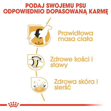 Royal Canin BHN Labrador Retriever Adult 12kg Karma Sucha Dla Psów Dorosłych Rasy Labrador Retriever
