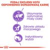 Mokra Karma Dla Kotów Sterylizowanych Royal Canin FHN Sterilised W Sosie 48x85g