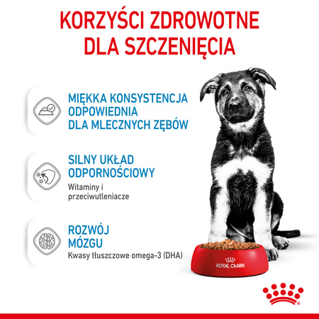 Royal Canin Maxi Puppy 140g Karma Mokra W Sosie Dla Szczeniąt Do 15 Miesiąca Życia Ras Dużych