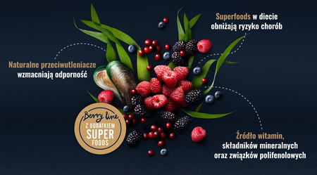 John Dog BERRY ADULT JAGNIĘCINA z jeżynami 6x 800g - Mokra Karma dla psów, 96% mięsa