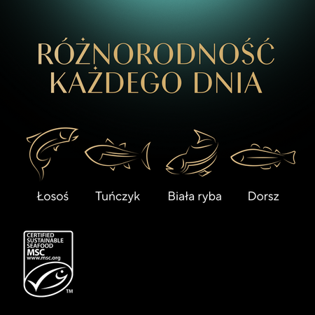 Sheba Delicacy Rybne Smaki w Galaretce 80x85g Mokra Karma Dla Kota