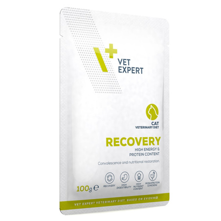 VetExpert Veterinary Diet Recovery Cat 24x100g Mokra Weterynaryjna Karma Dla Kotów w Okresie Rekonwalescencji
