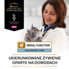 Purina Pro Plan Veterinary Diets NF Renal Function Advanced Care Sucha Karma Dla Kota 350g Niewydolność Nerek