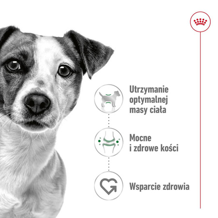 Royal Canin SHN Mini Adult 36x85g Karma Mokra W Sosie Dla Psów Dorosłych Ras Małych