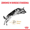 Royal Canin BHN German Shepherd Adult 5+ 3kg Karma Sucha Dla Dorosłych Psów Rasy Owczarek Niemiecki Powyżej 5 Roku Życia