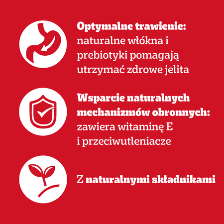 Pedigree Adult Mokra Karma Dla Psa 80x100g Wybór Smaków W Galaretce